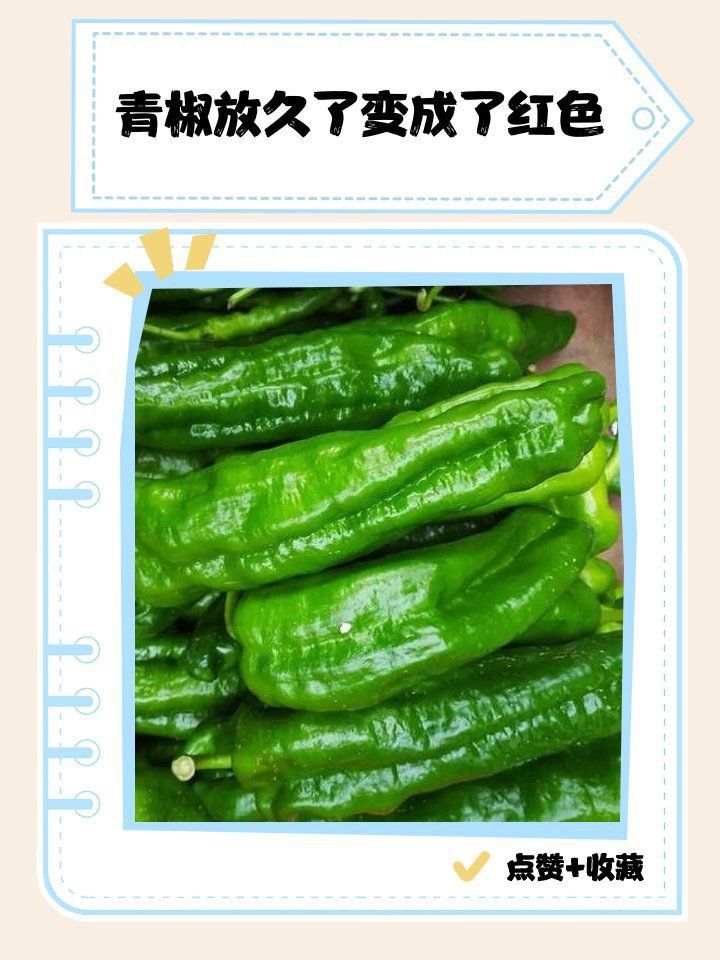 辣椒變紅了要警惕