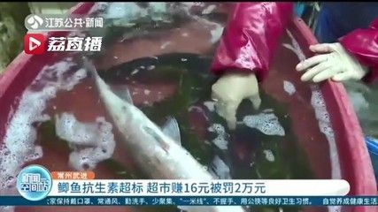 龍魚怎么打包發貨給別人:龍魚打包用什么鎮定劑,龍魚長途運輸注意事項 龍魚百科 第3張 龍魚怎么打包發貨給別人:龍魚打包用什么鎮定劑,龍魚長途運輸注意事項 龍魚怎么打包發貨給別人:龍魚打包用什么鎮定劑,龍魚長途運輸注意事項 龍魚百科 第3張