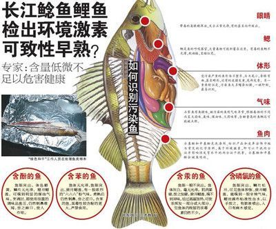 龍魚怎么打包發貨給別人:龍魚打包用什么鎮定劑,龍魚長途運輸注意事項 龍魚百科 第4張 龍魚怎么打包發貨給別人:龍魚打包用什么鎮定劑,龍魚長途運輸注意事項 龍魚怎么打包發貨給別人:龍魚打包用什么鎮定劑,龍魚長途運輸注意事項 龍魚百科 第4張