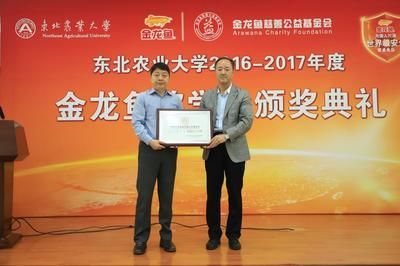 金龍魚獎學金多少錢：金龍魚獎學金申請條件 金龍魚獎學金多少錢：金龍魚獎學金申請條件 龍魚百科 第5張