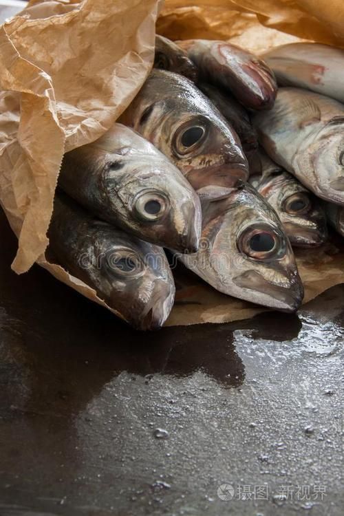 馬鯖魚圖片