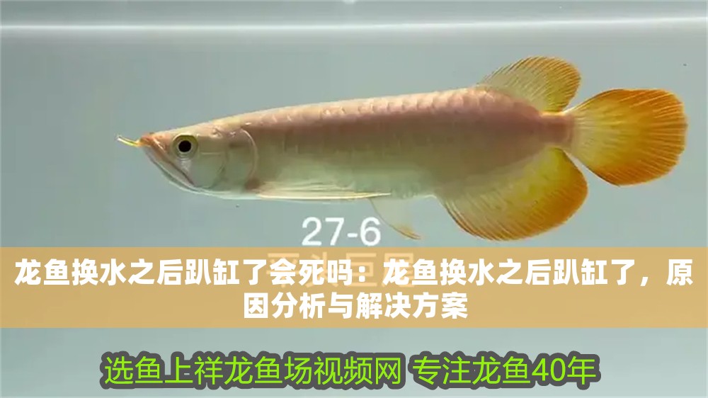 龍魚換水之后趴缸了會死嗎：龍魚換水之后趴缸了，原因分析與解決方案 龍魚換水之后趴缸了會死嗎：龍魚換水之后趴缸了，原因分析與解決方案 龍魚百科 第1張