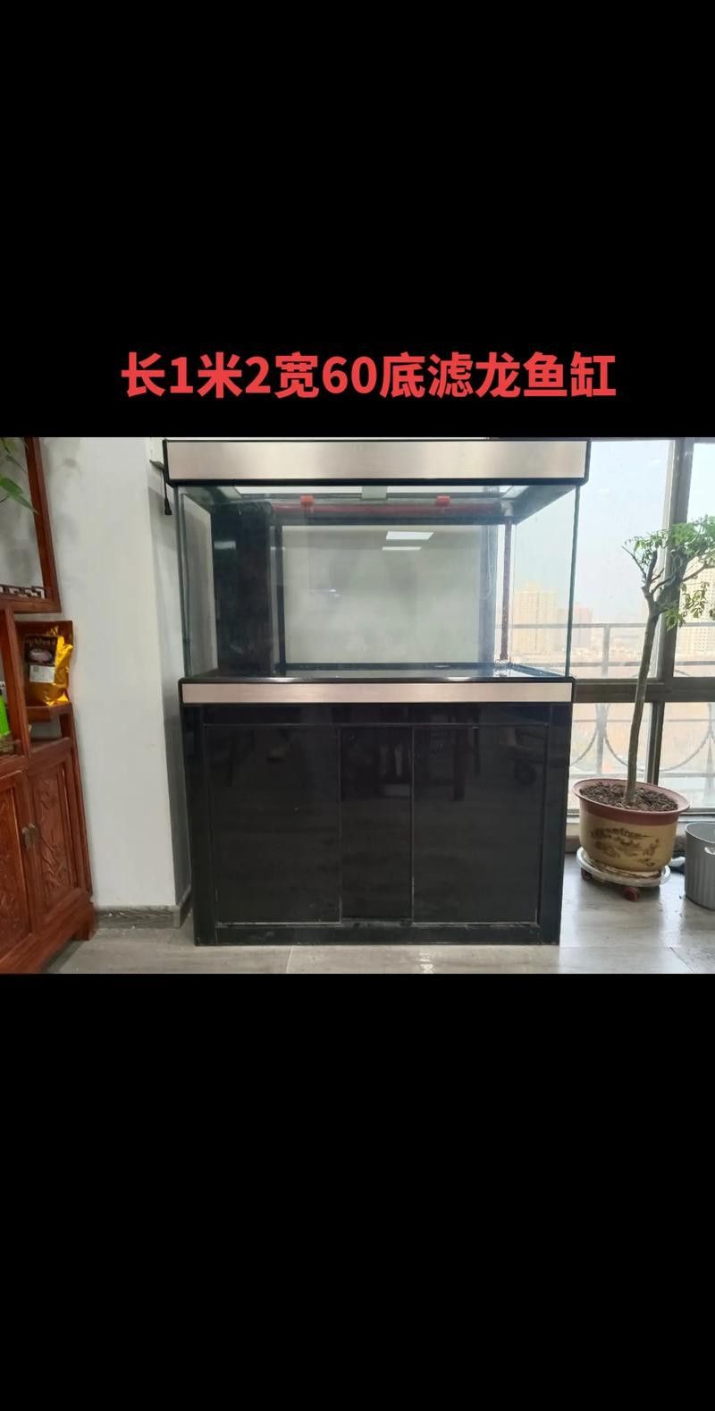 彩蝶龍魚缸價格表和圖片 龍魚百科 第7張 彩蝶龍魚缸價格表和圖片 彩蝶龍魚缸價格表和圖片 龍魚百科 第7張