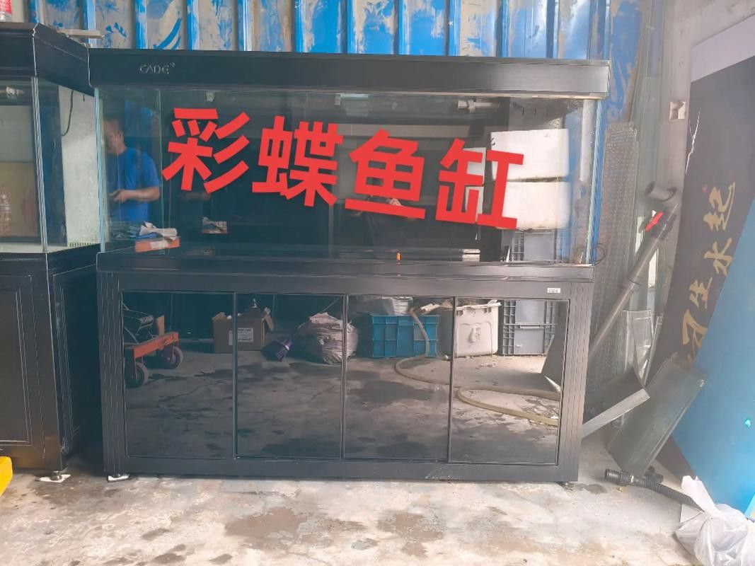 彩蝶龍魚缸價格表和圖片 龍魚百科 第8張 彩蝶龍魚缸價格表和圖片 彩蝶龍魚缸價格表和圖片 龍魚百科 第8張