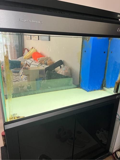 彩蝶龍魚缸價格表和圖片 龍魚百科 第10張 彩蝶龍魚缸價格表和圖片 彩蝶龍魚缸價格表和圖片 龍魚百科 第10張