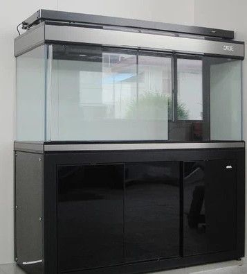 彩蝶龍魚缸價格表和圖片 龍魚百科 第9張 彩蝶龍魚缸價格表和圖片 彩蝶龍魚缸價格表和圖片 龍魚百科 第9張