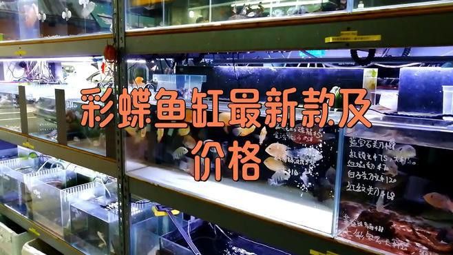 彩蝶龍魚缸價格表和圖片 彩蝶龍魚缸價格表和圖片 龍魚百科 第28張