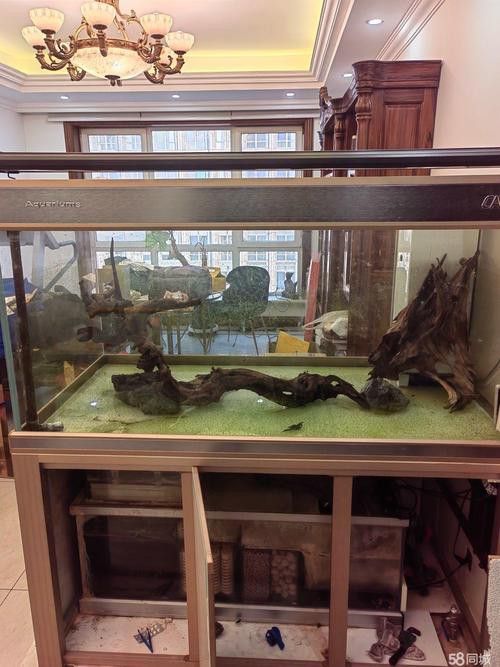 彩蝶龍魚缸價格表和圖片 龍魚百科 第25張 彩蝶龍魚缸價格表和圖片 彩蝶龍魚缸價格表和圖片 龍魚百科 第25張
