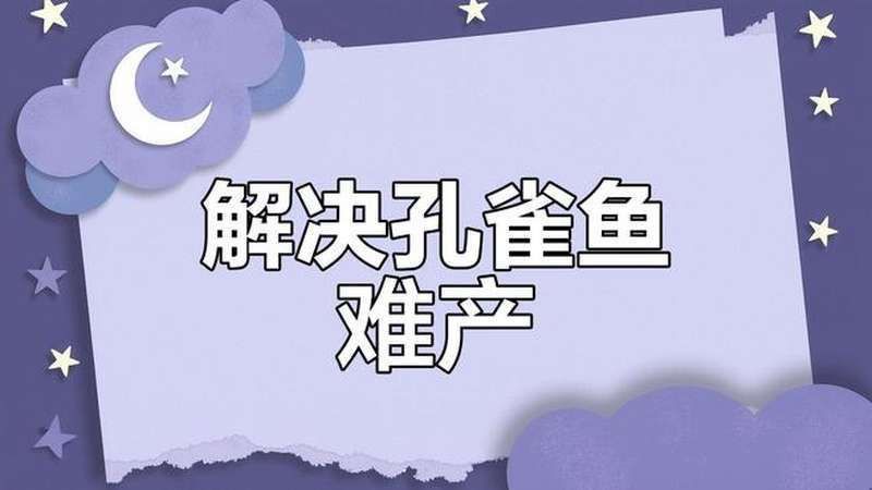 孔雀魚(yú)不生快憋死了 孔雀魚(yú)不生快憋死了 龍魚(yú)百科 第9張