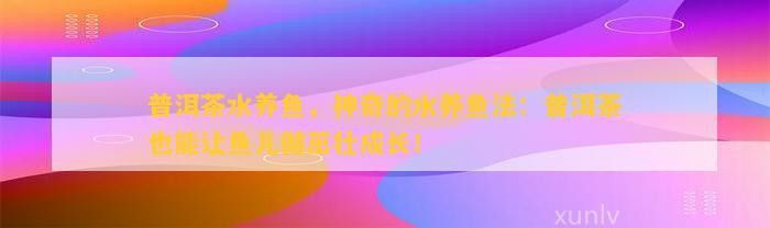 龍魚世家網站首頁：龍魚世家網站