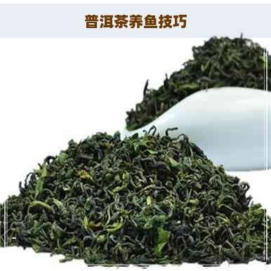 龍魚世家網站首頁：龍魚世家網站