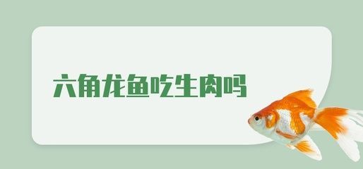 龍魚可以食用嗎？：龍魚可以吃嗎？ 龍魚可以食用嗎？：龍魚可以吃嗎？ 龍魚百科 第2張