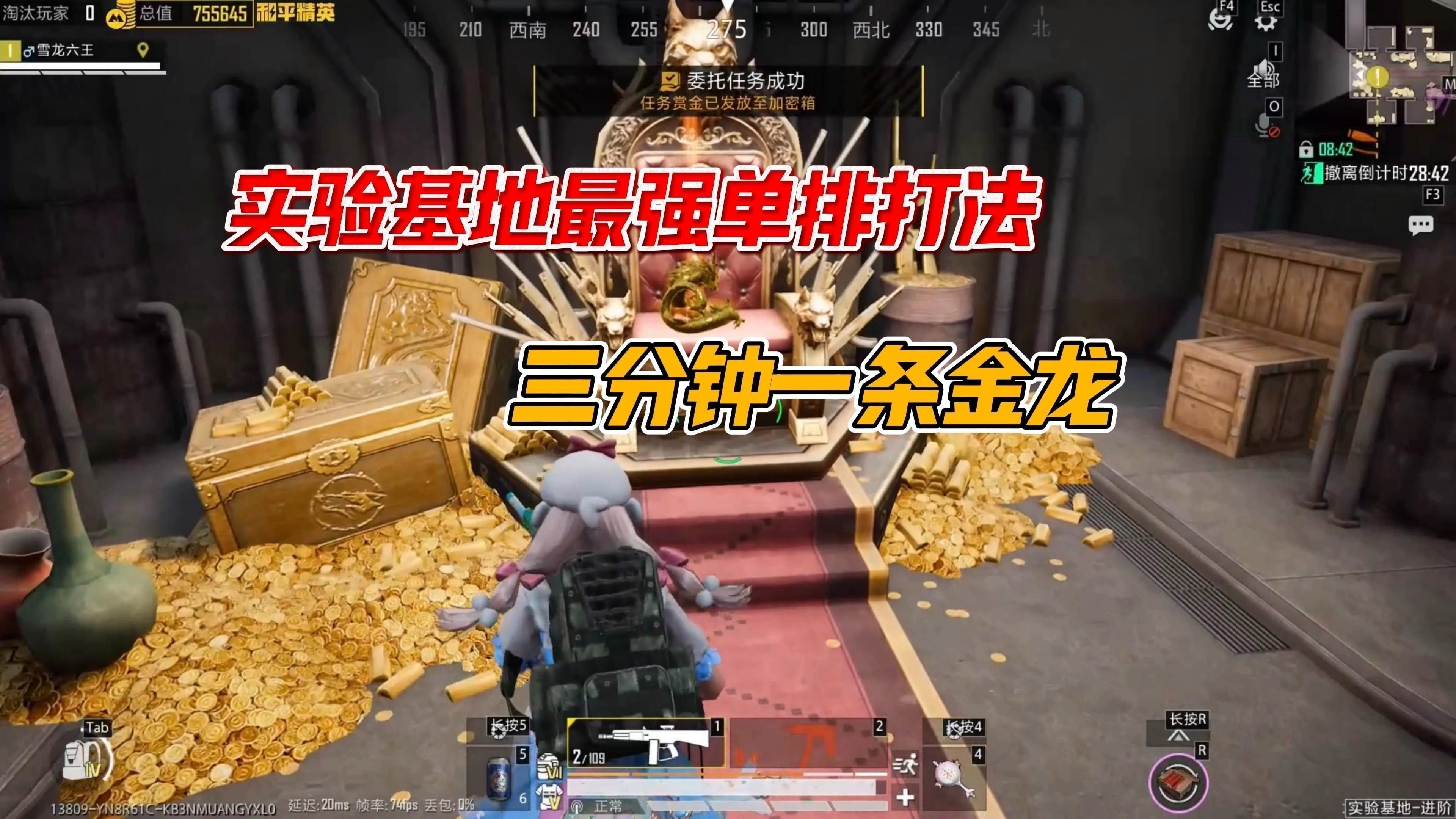 雪龍和白金龍魚哪個更好養？
