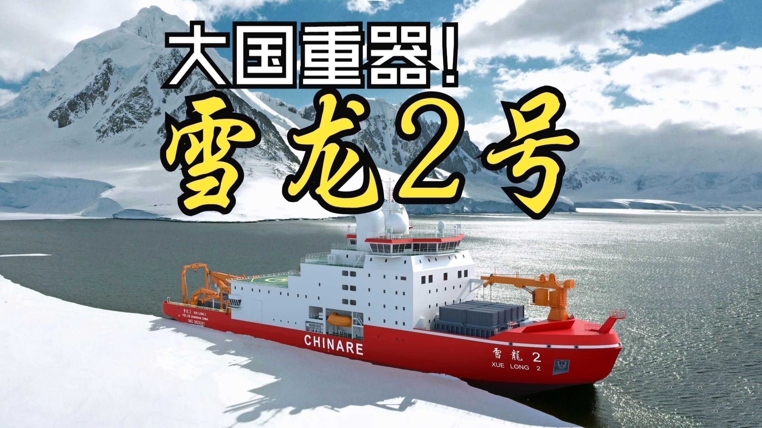 雪龍和白金龍魚哪個更好養？