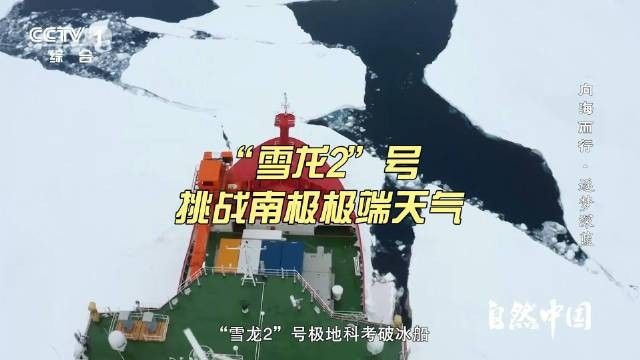 雪龍和白金龍魚哪個更好養？