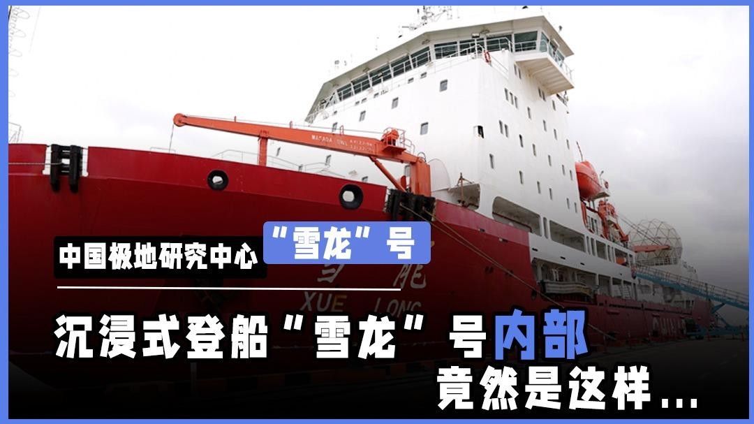 雪龍和白金龍魚哪個更好養？