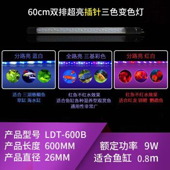 品牌龍魚缸排名前十位：龍魚缸品牌排名