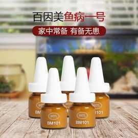 羅漢魚2024年價格表查詢