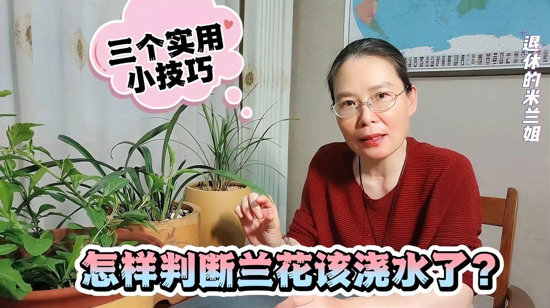 如何判斷紅龍字蘭花是否缺水？