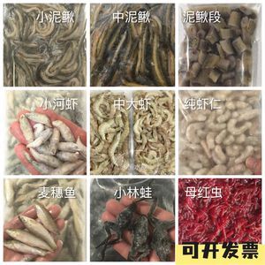 龍魚的嘴撞傷了會怎么樣：龍魚吃蝦好還是吃蝦好，怎么正確喂養龍魚