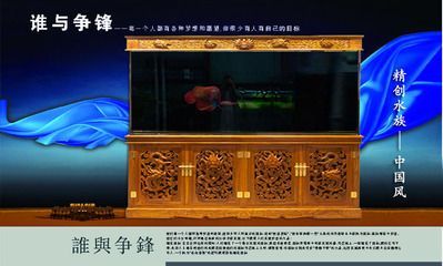 龍魚缸底色選擇指南（關(guān)于龍魚缸底色選擇的建議） 龍魚缸底色選擇指南（關(guān)于龍魚缸底色選擇的建議） 龍魚百科 第1張
