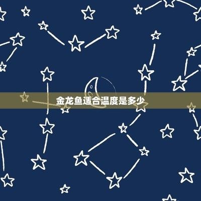 金龍魚最高水溫和最低水溫的區(qū)別在哪：金龍魚最高水溫和最低水溫分別是31℃和[需手動填充]和[需手動填充] 金龍魚最高水溫和最低水溫的區(qū)別在哪：金龍魚最高水溫和最低水溫分別是31℃和[需手動填充]和[需手動填充] 龍魚百科 第1張