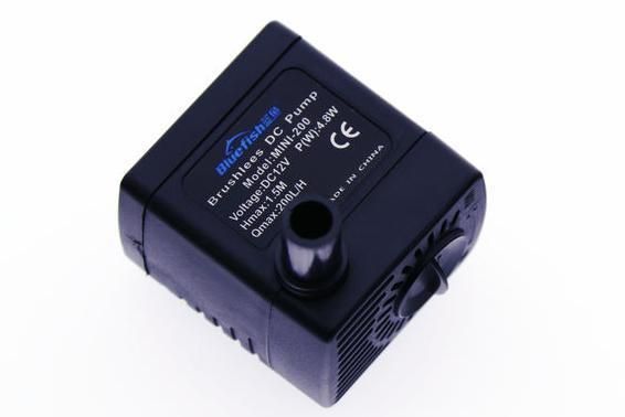 紅龍魚(yú)喂什么上色快一點(diǎn)好看（紅龍魚(yú)喂什么上色快一點(diǎn)好看呢）