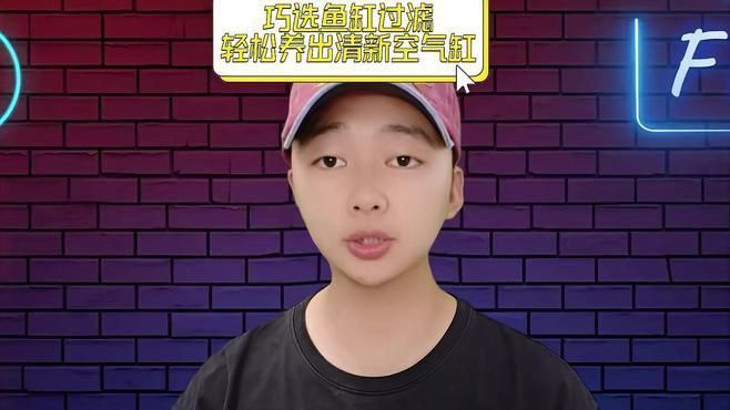 魚缸的過濾系統如何選擇 魚缸的過濾系統如何選擇 龍魚百科 第2張