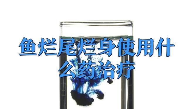銀龍魚(yú)爛身用什么藥