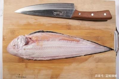 龍魚(yú)是海魚(yú)嗎：龍魚(yú)不是海魚(yú)，而是淡水魚(yú)