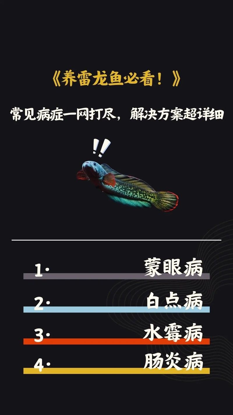 黃金眼鏡蛇雷龍魚怎么養