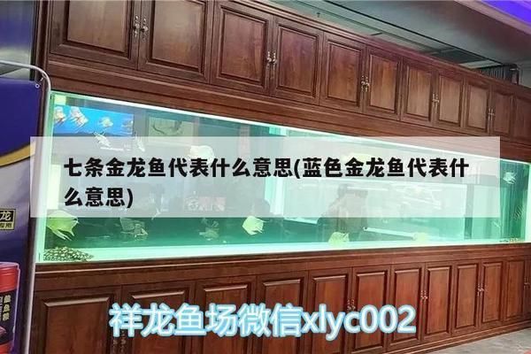 藍色金龍魚代表什么意思：藍色金龍魚在不同文化中的象征 藍色金龍魚代表什么意思：藍色金龍魚在不同文化中的象征 龍魚百科 第3張
