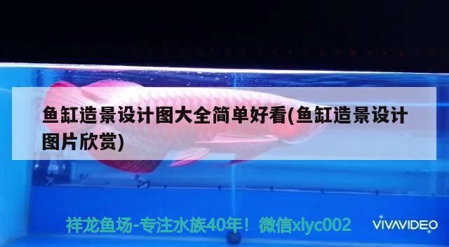 魚缸造景設計圖大全簡單好看(魚缸造景設計圖片欣賞) 魚缸造景設計圖大全簡單好看(魚缸造景設計圖片欣賞) 龍魚百科