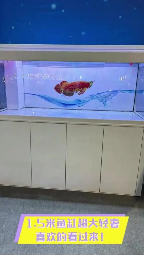 可麗愛魚缸1.5米價格表圖片大全集