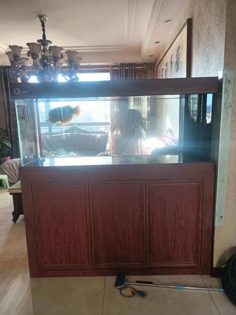 可麗愛魚缸1.5米價格表圖片大全集