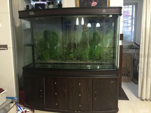 可麗愛魚缸1.5米價格表圖片大全集