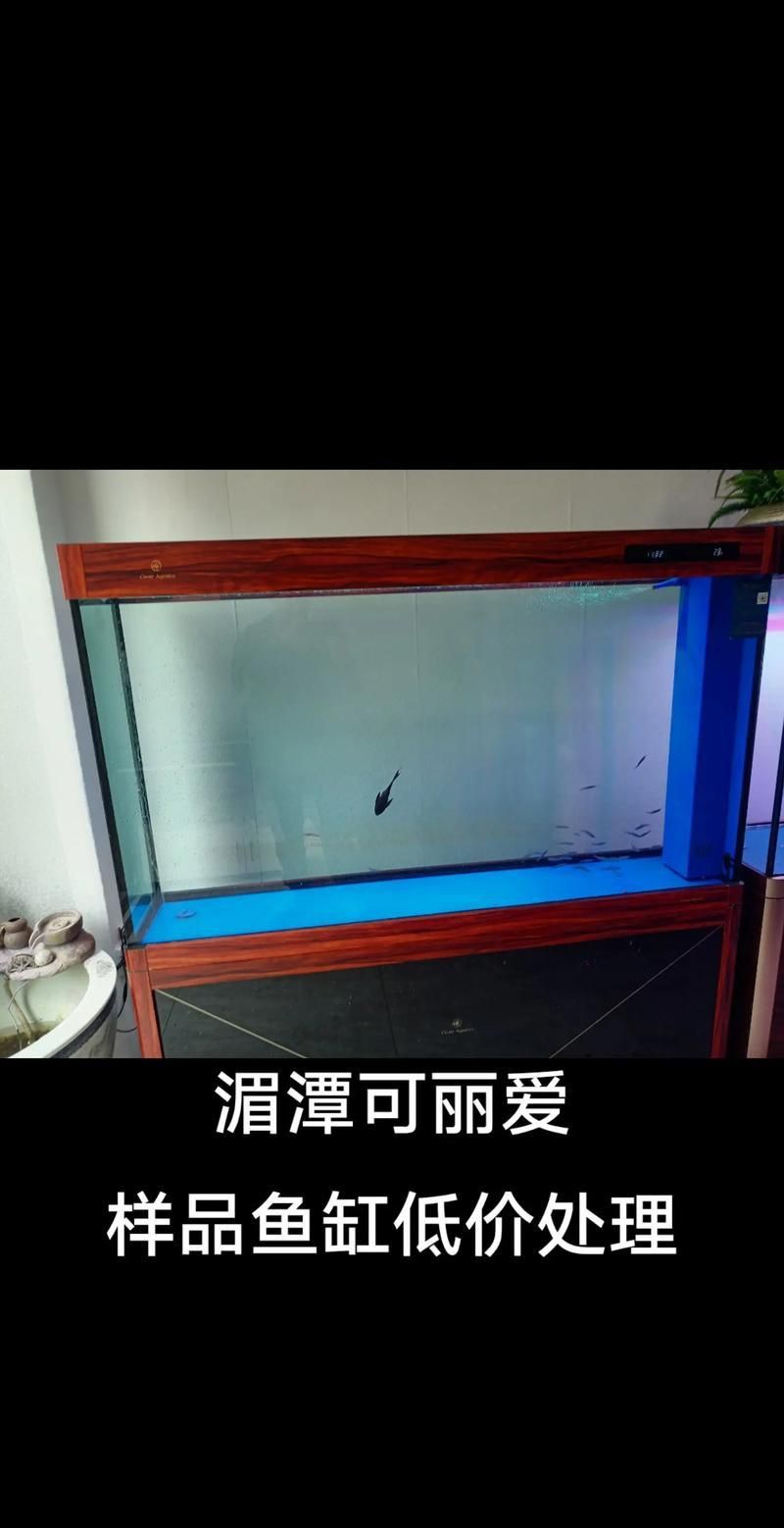 可麗愛魚缸1.5米價格表圖片大全集