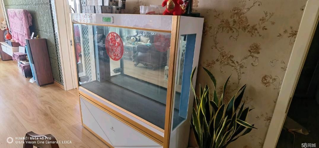 可麗愛魚缸1.5米價格表圖片大全集