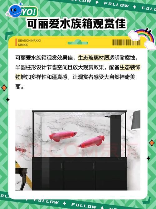 可麗愛魚缸1.5米價格表圖片大全集