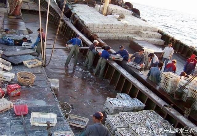 順豐速運魚苗配送流程：順豐速運魚苗配送流程優(yōu)化