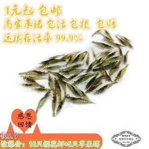 龍魚吃金魚飼料嗎會死嗎：龍魚吃金魚飼料會死亡嗎