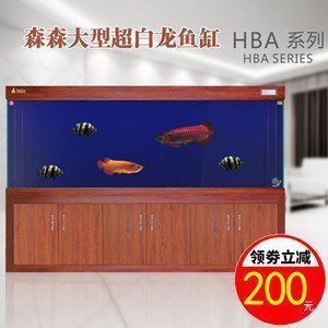 紅龍魚夜間照明的必要性：關于紅龍魚夜間照明的一些小知識