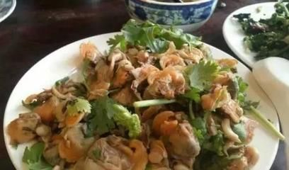 龍魚吃蝦仁嗎有營養(yǎng)嗎：龍魚可以吃蝦仁嗎