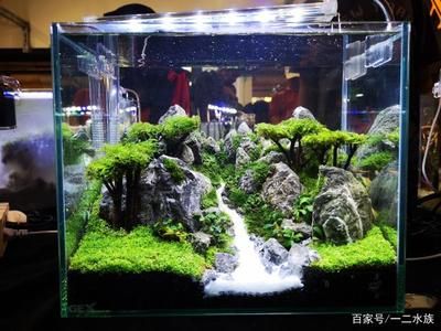 紅龍魚換水可以喂食嗎（紅龍魚換水可以喂食嗎視頻）