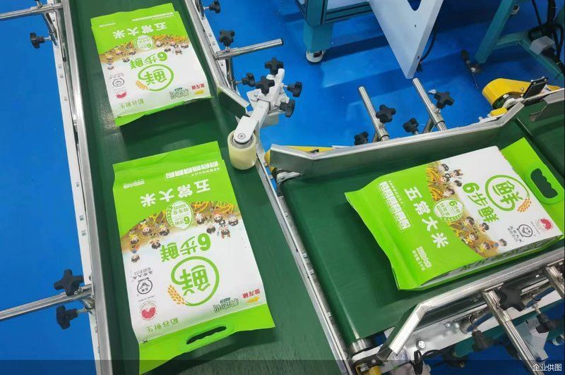 金龍魚漁場2024年最新消息 金龍魚漁場2024年最新消息 龍魚百科 第10張