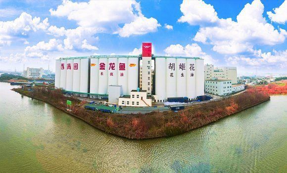 金龍魚漁場2024年最新消息 金龍魚漁場2024年最新消息 龍魚百科 第17張