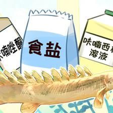 六角恐龍魚得水霉病的樣子，六角恐龍魚得水霉病后身體會出現一些明顯的癥狀癥狀
