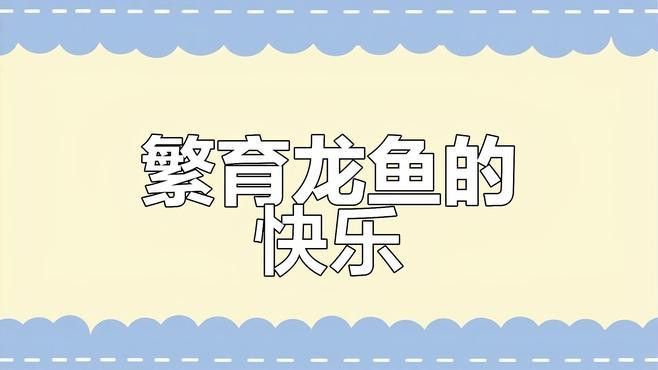 如何提高古龍魚的繁殖成功率？