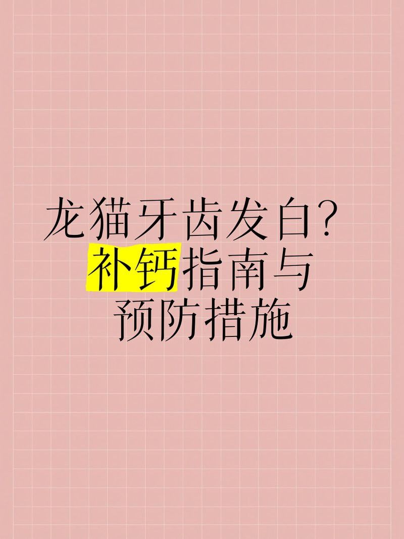 如何判斷龍貓是否缺鈣？ 如何判斷龍貓是否缺鈣？ 龍魚百科 第5張