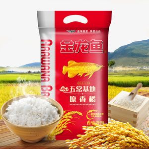 紅龍魚死了有什么預兆（紅龍魚死了有什么預兆嗎） 紅龍魚死了有什么預兆（紅龍魚死了有什么預兆嗎） 龍魚百科